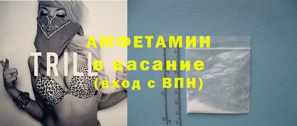 шишки Алзамай