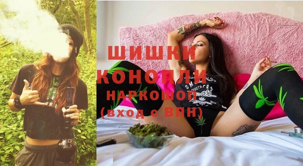 шишки Алзамай