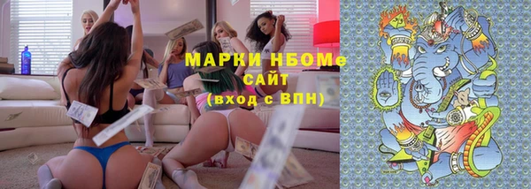шишки Алзамай