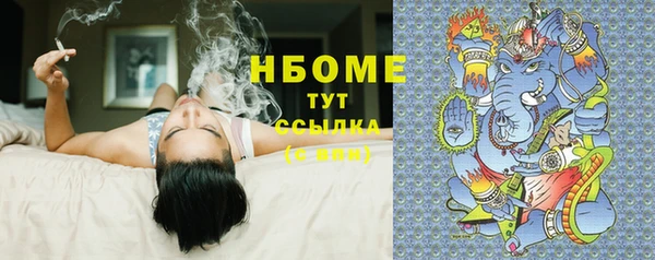 шишки Алзамай