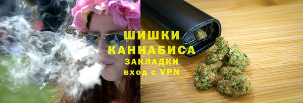 шишки Алзамай